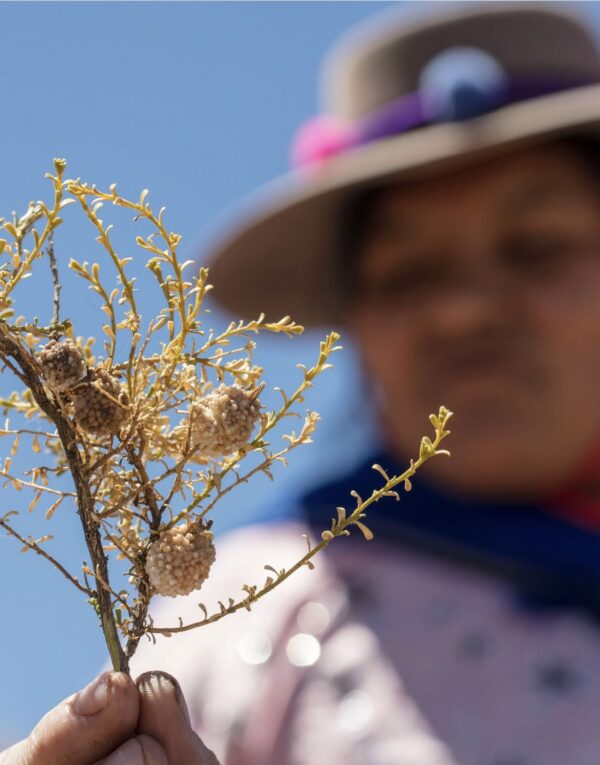 Experiencias Ancestrales - Imagen 8